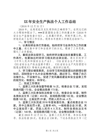 XX年安全生产执法个人工作总结