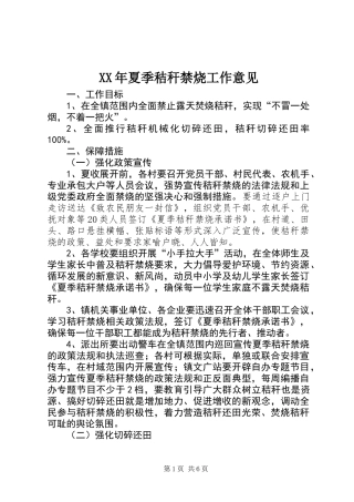 XX年夏季秸秆禁烧工作意见