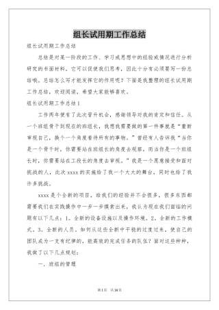 组长试用期工作参考总结