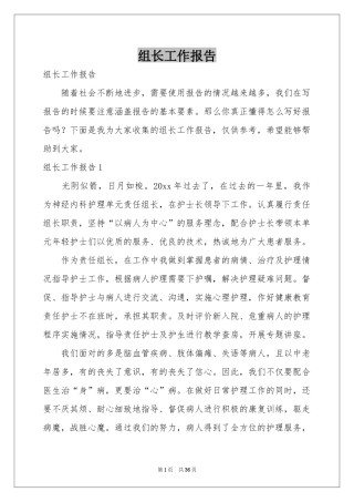 组长工作报告