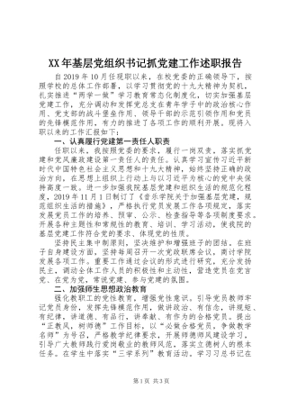 XX年基层党组织书记抓党建工作述职报告 (2)