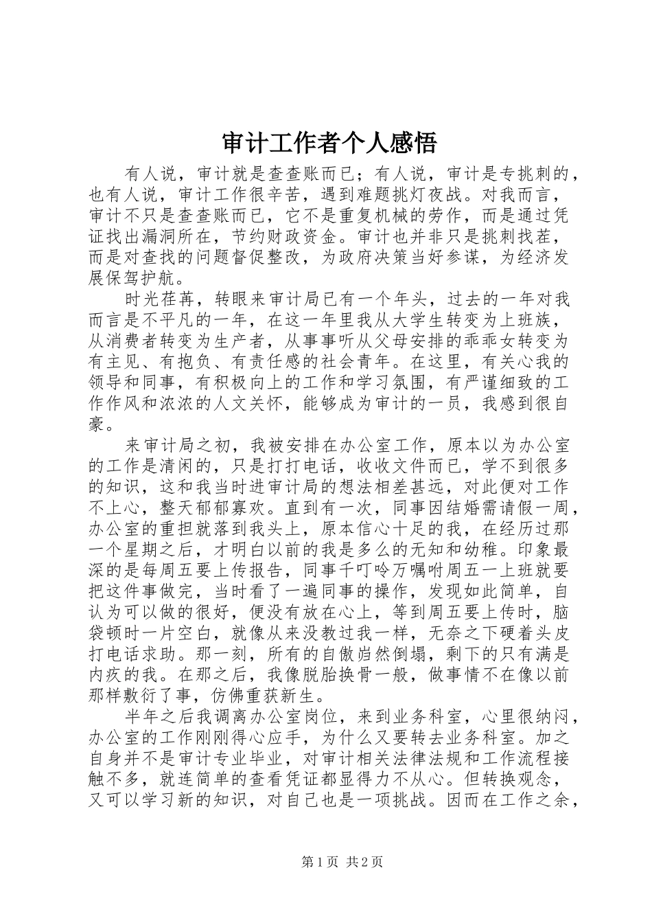 审计工作者个人感悟_第1页