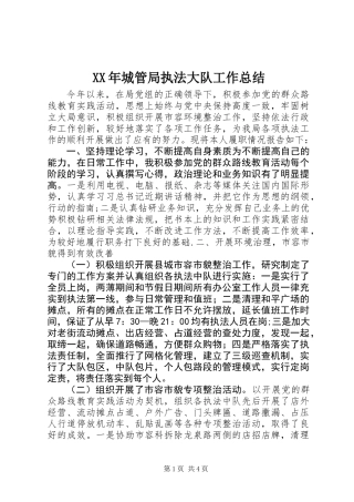 XX年城管局执法大队工作总结