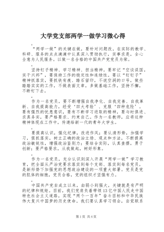 大学党支部两学一做学习微心得