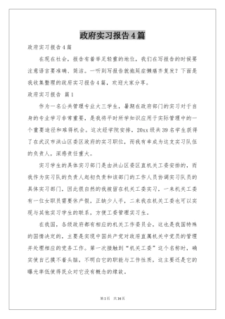 政府实习报告4篇