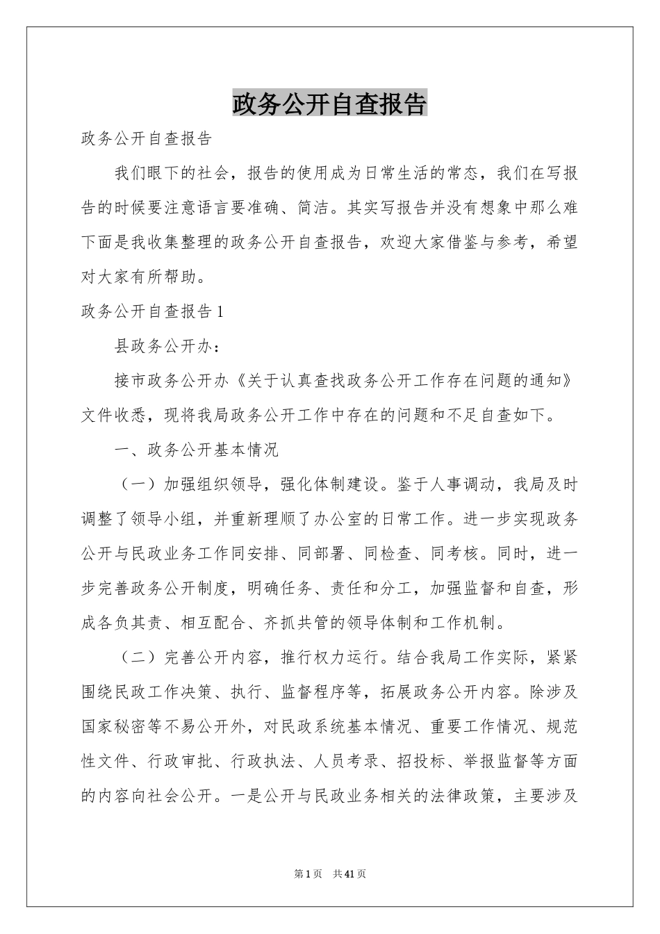 政务公开自查报告_第1页