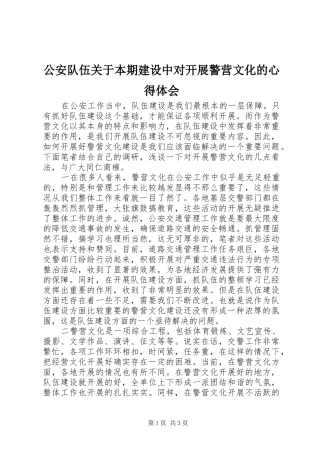 公安队伍关于本期建设中对开展警营文化的心得体会
