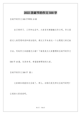 2024圣诞节的作文500字_7