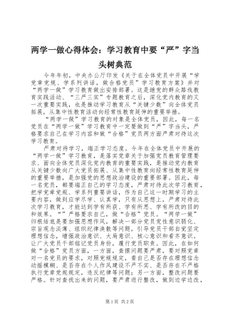两学一做心得体会：学习教育中要“严”字当头树典范