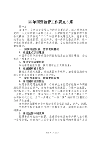 XX年国资监管工作要点5篇