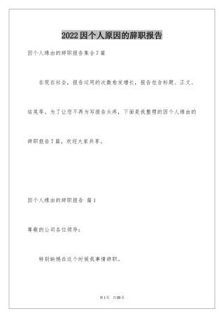 2024因个人原因的辞职报告_7