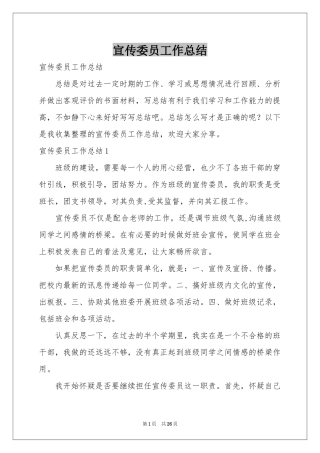 宣传委员工作参考总结