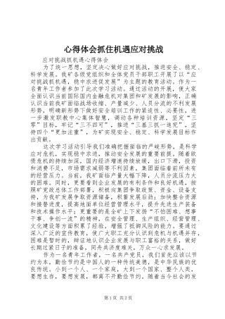 心得体会抓住机遇应对挑战