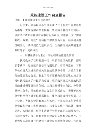 效能建设工作自查报告