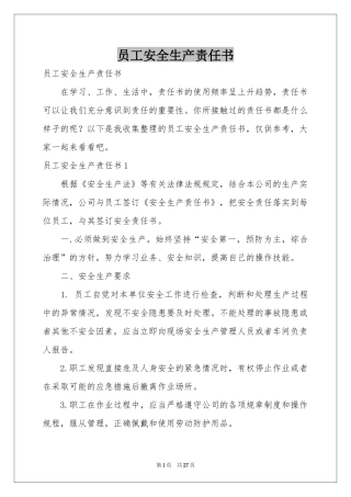 员工安全生产责任书