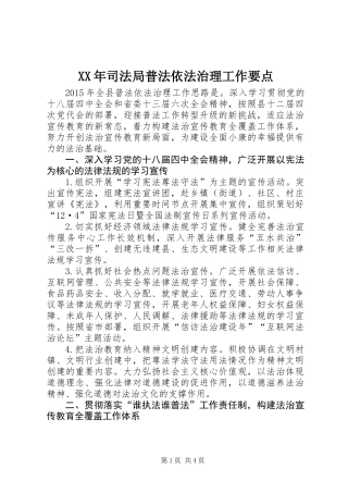 XX年司法局普法依法治理工作要点