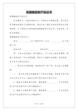 再婚婚前财产协议书