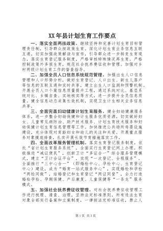 XX年县计划生育工作要点