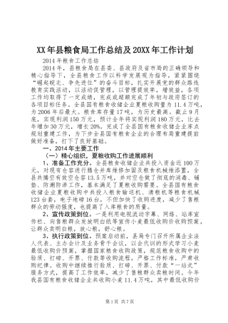 XX年县粮食局工作总结及20XX年工作计划