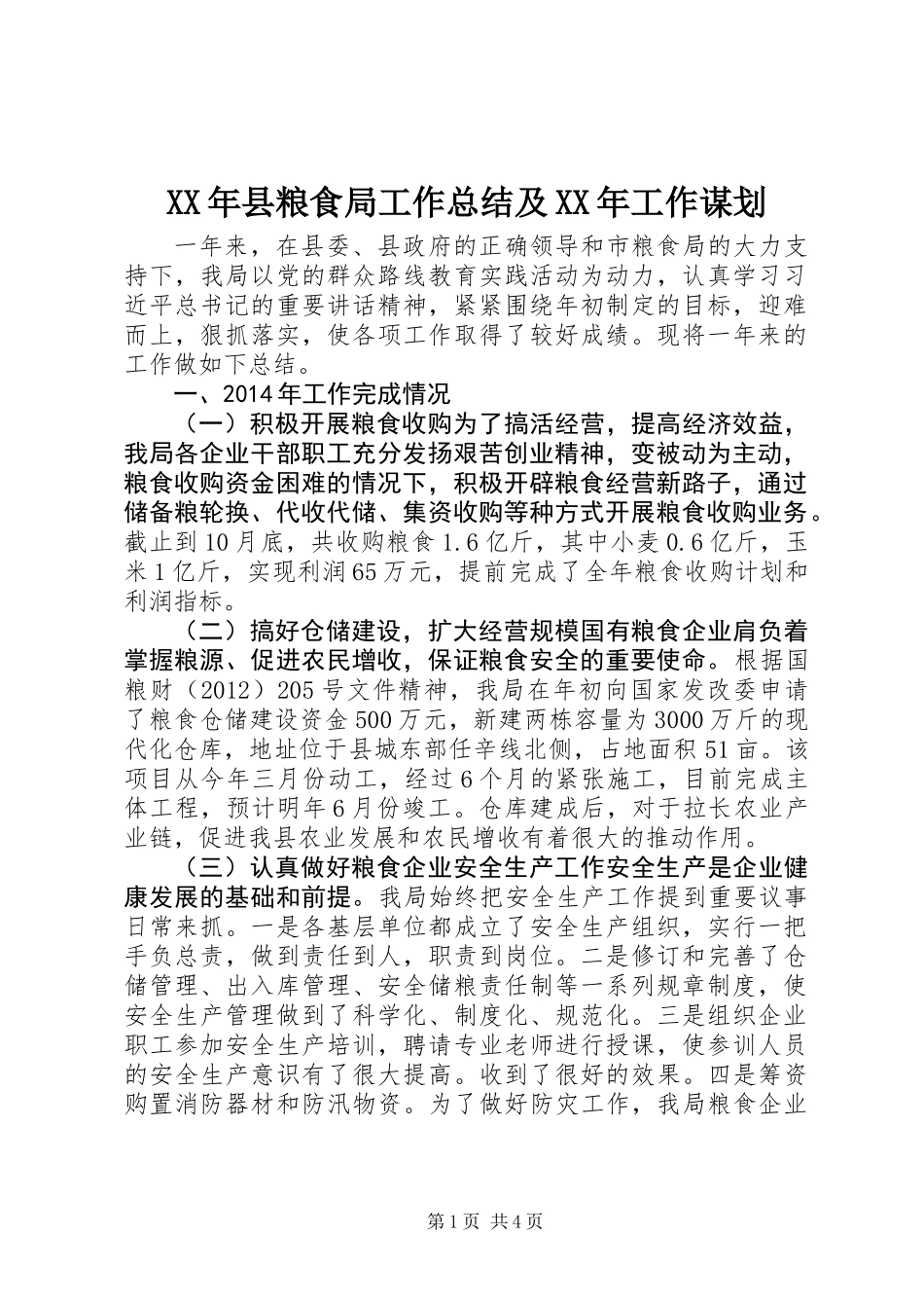 XX年县粮食局工作总结及XX年工作谋划_第1页