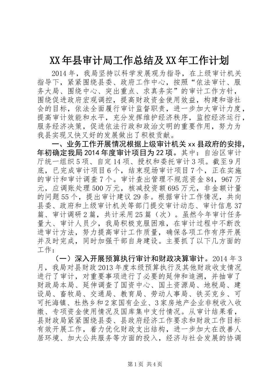 XX年县审计局工作总结及XX年工作计划 (3)_第1页