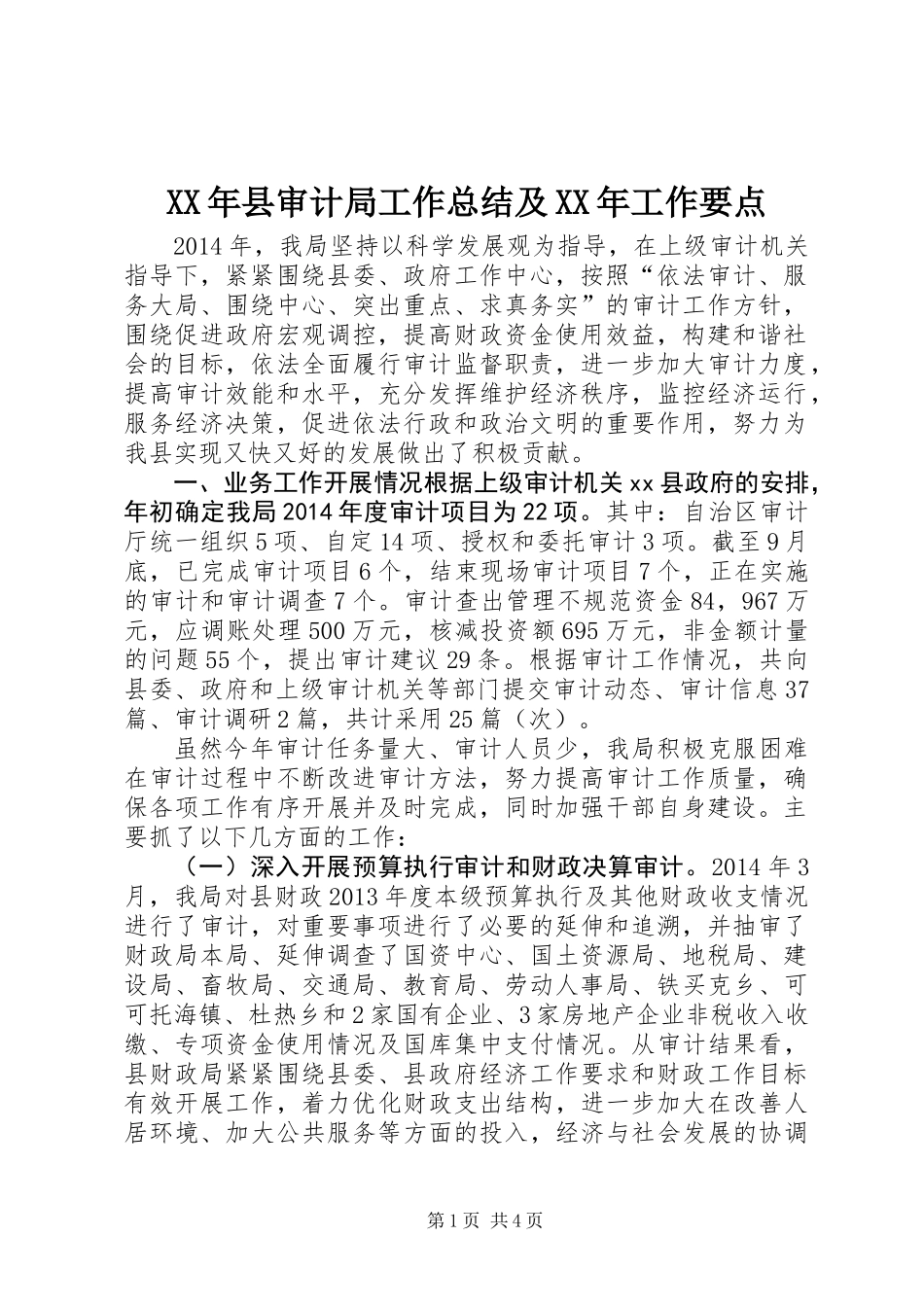 XX年县审计局工作总结及XX年工作要点_第1页