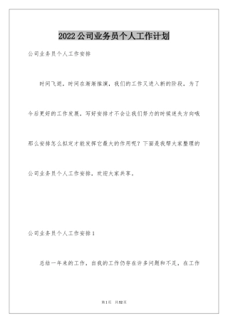 2024公司业务员个人工作计划_2