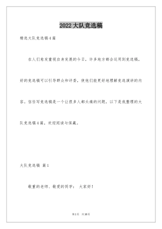 2024大队竞选稿_7