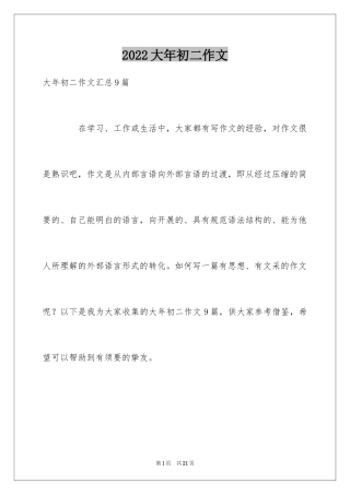 2024大年初二作文_27