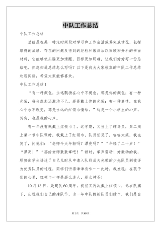 中队工作参考总结