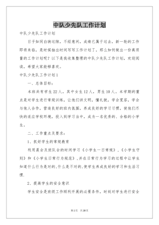 中队少先队工作参考计划