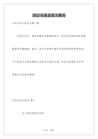 2024化妆品实习报告_4