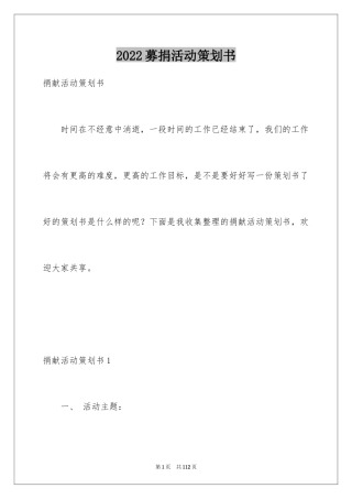 2024募捐活动策划书
