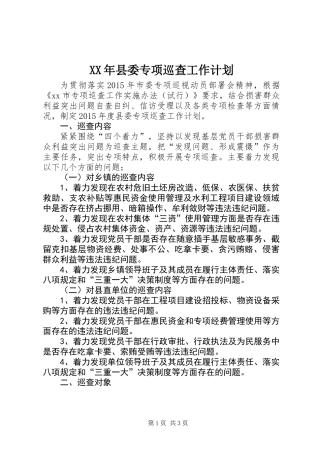 XX年县委专项巡查工作计划