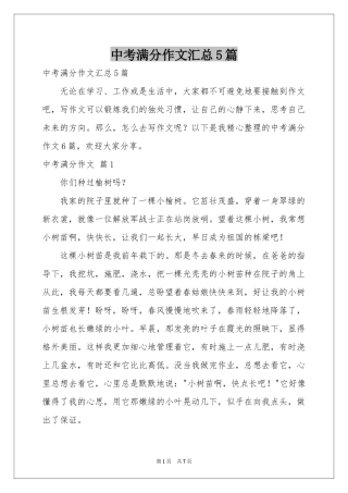 中考满分作文汇总5篇