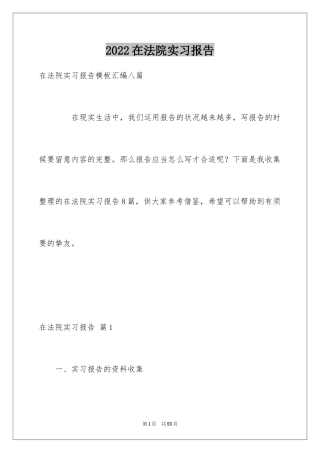 2024在法院实习报告_29