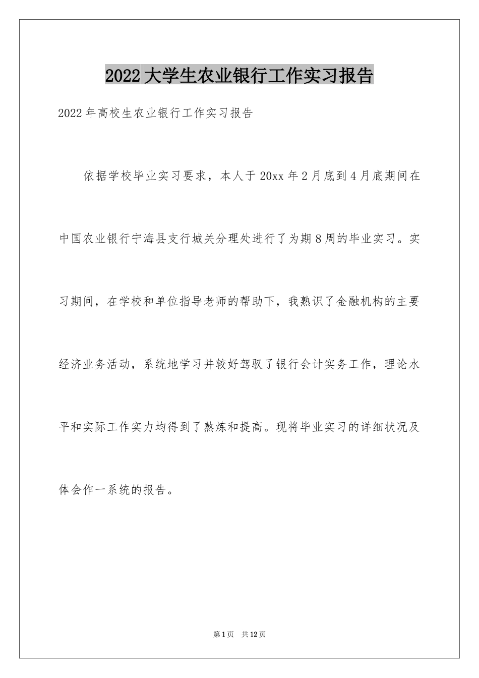 2024大学生农业银行工作实习报告_第1页