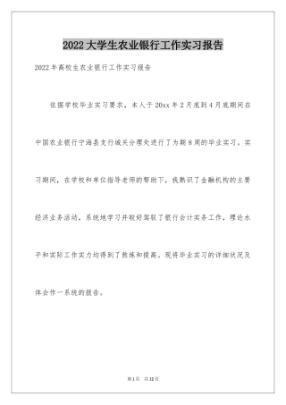 2024大学生农业银行工作实习报告
