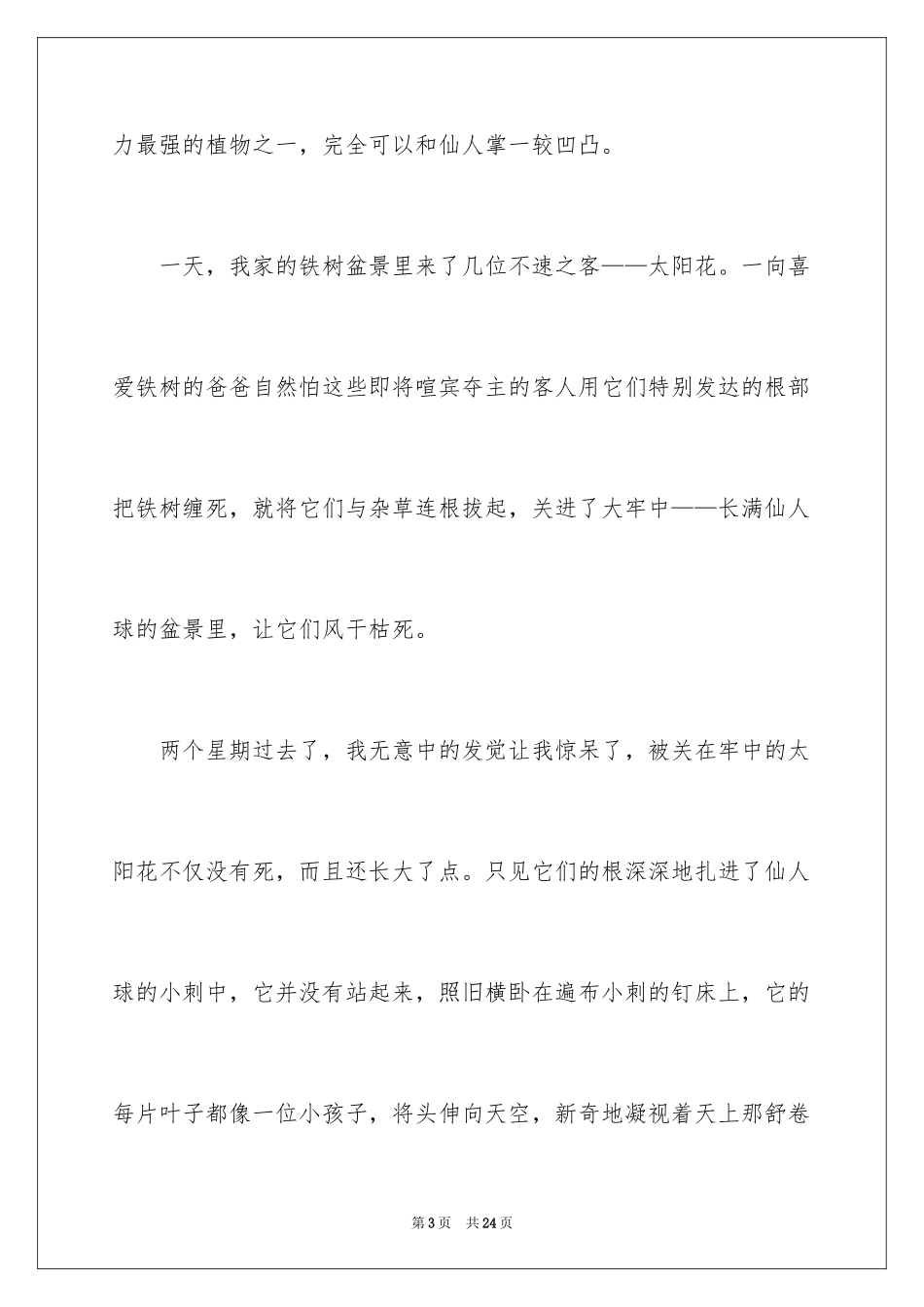 2024太阳花的作文_1_第3页