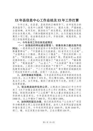 XX年县信息中心工作总结及XX年工作打算