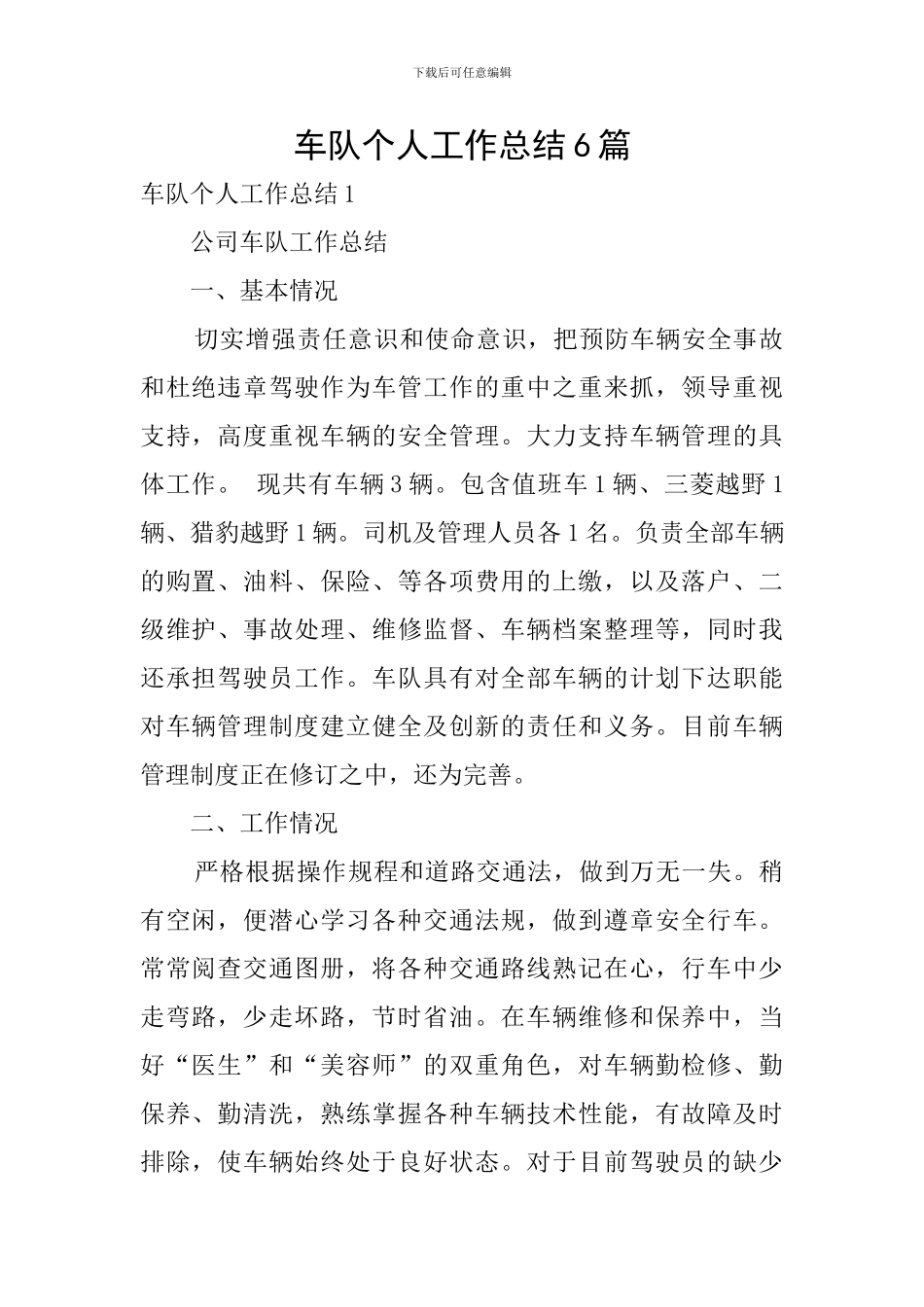 车队个人工作总结6篇_第1页