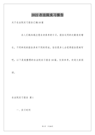 2024在法院实习报告_21