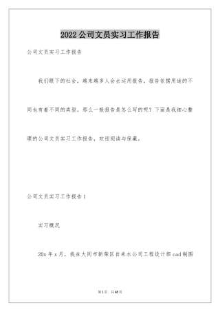 2024公司文员实习工作报告