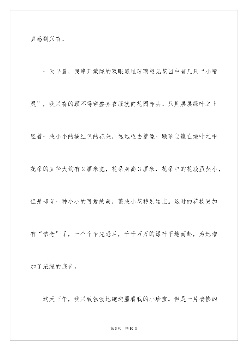 2024太阳花三年级作文_第3页
