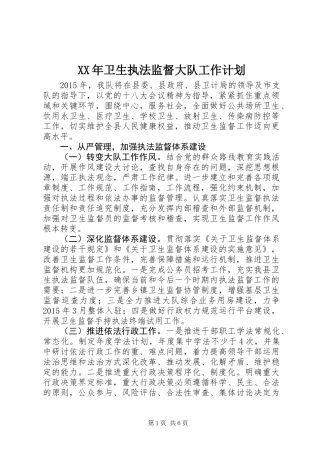 XX年卫生执法监督大队工作计划