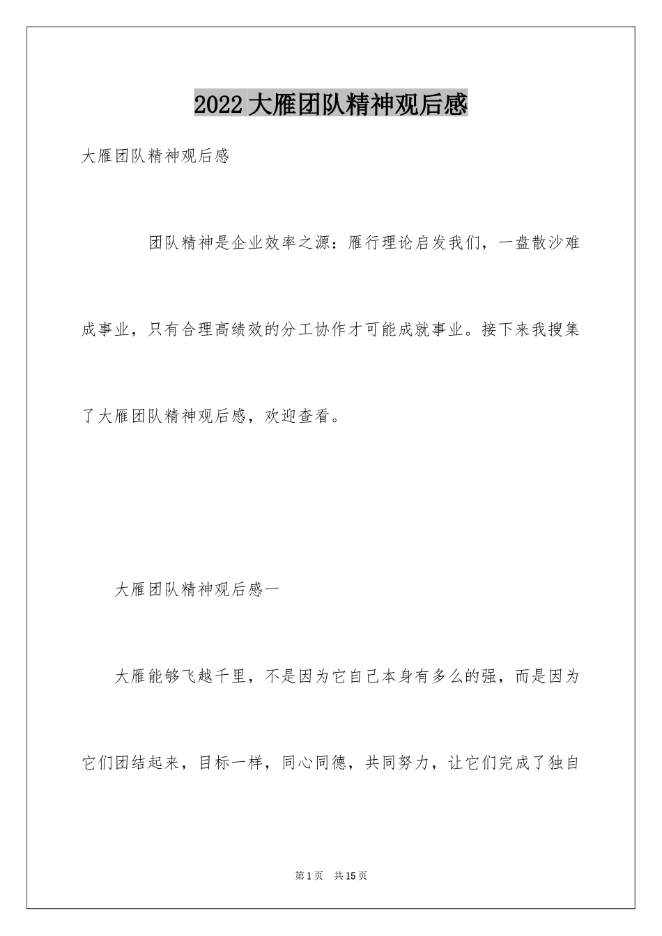 2024大雁团队精神观后感_第1页