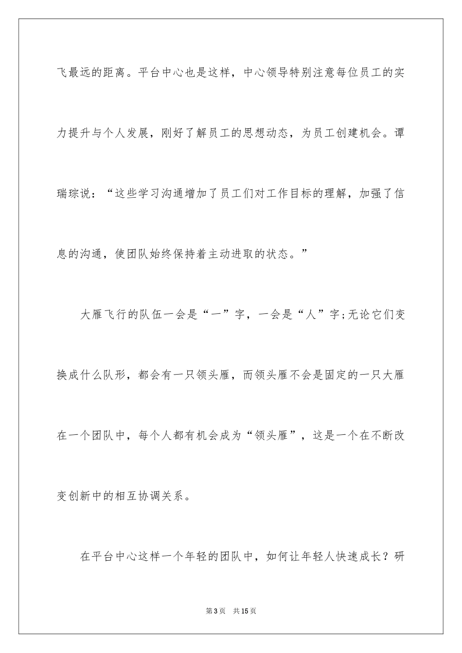 2024大雁团队精神观后感_第3页