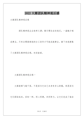 2024大雁团队精神观后感