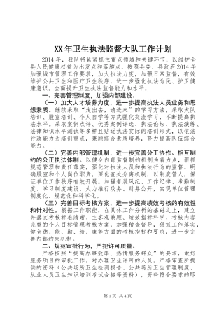 XX年卫生执法监督大队工作计划 (2)