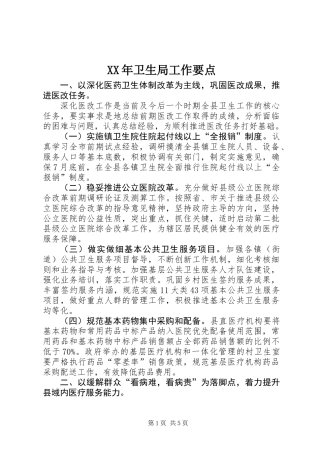 XX年卫生局工作要点